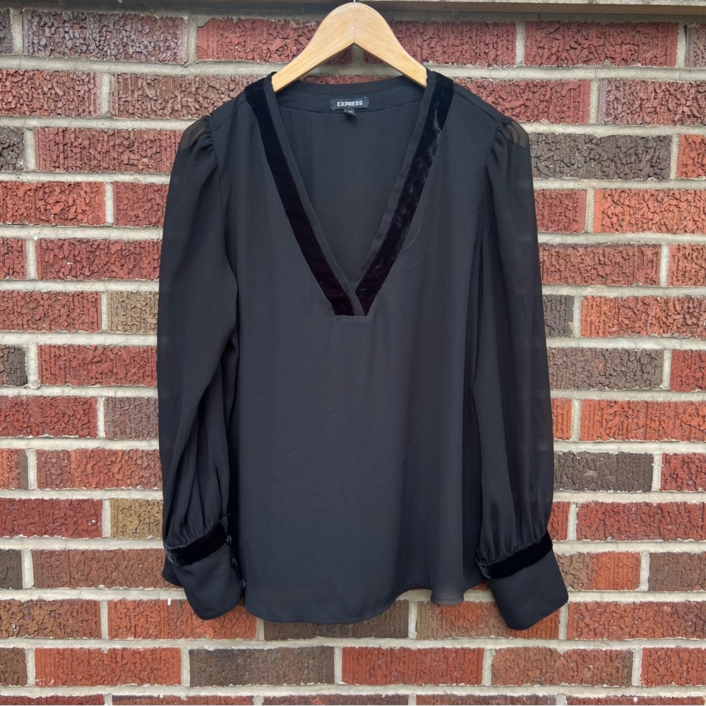 Express Black Chiffon Deep V Neck Velvet Striped Transparent Sleeve Blouse Top